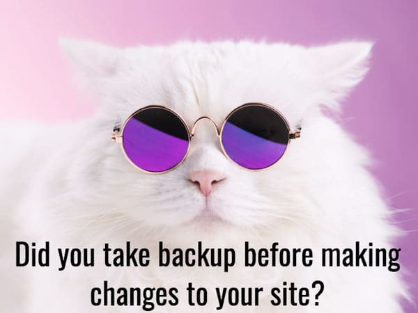 take-backup-before-making-changes-to-website