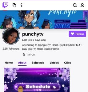 Punchytv: The Heartwarming Story of a Twitch VTuber's Rise to Fame